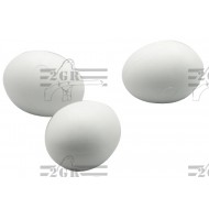 Art.011 Podkladové vajcia pre väššie papagáje