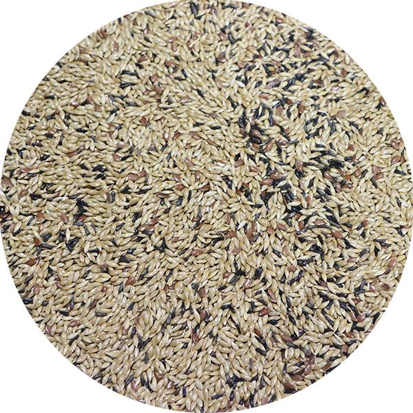  Canaries Tris 3 Seeds je kompletná zmes semien pre každodennú výživu kanárikov.ORNITALIA