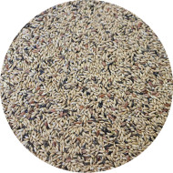 Canaries Extra – 5 Seeds with Perilla je kvalitná kompletná zmes pre kanáriky 5 kg Ornitalia Canaries Extra – 5 Seeds with Perilla je kvalitná kompletná zmes pre kanáriky 5 kg Ornitalia