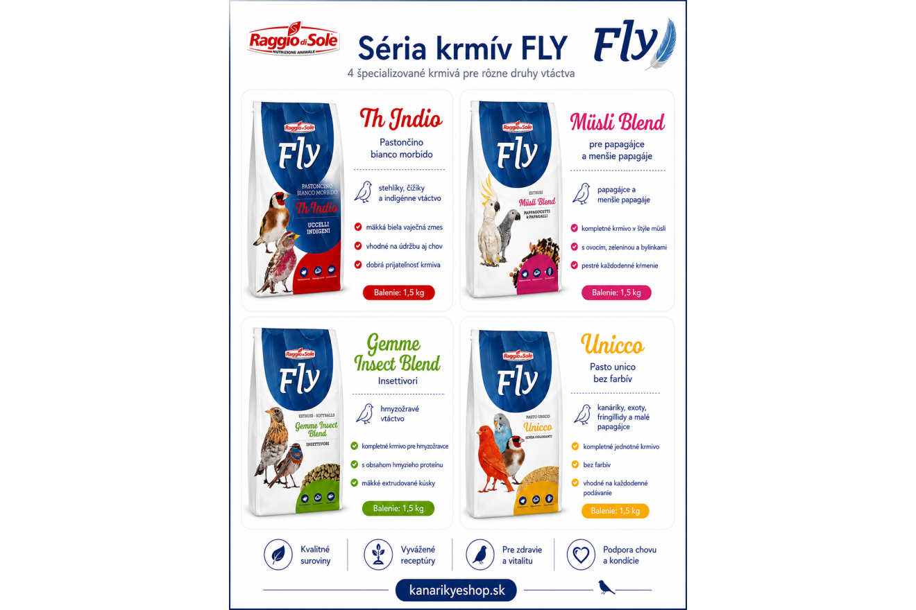 flyfly