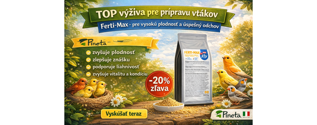 PINETA VITAL MAX