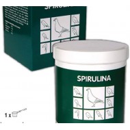 SPIRULINA zelená riasa v prášku